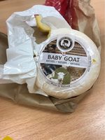 Baby goat