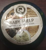 Baby sheep