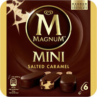 Magnum Glace Bâtonnet Mini Caramel Salé x6 330ml