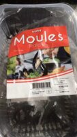 Moules fraîches