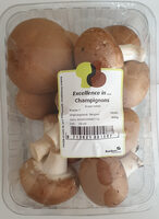Champignons, braun mittel