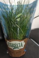 Especia ciboulette