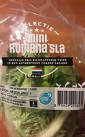 Mini Romana Sla