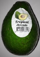 Riesen-Avocado Tropical