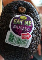 Avocado