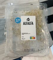 Alfalfa
