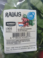 Radijs