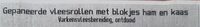 Vleesrollen