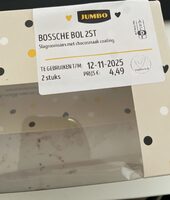 Bossche Bol