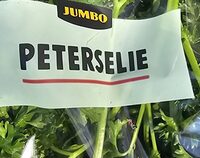 Krullen peterselie