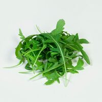 Rucola