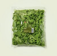 Rucola