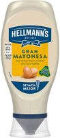 Gran mayonesa hellmanns boca