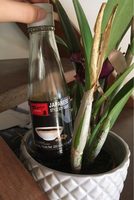Jadanese Choice Style Soy Sauce -