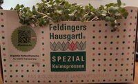 Spezial Keimsprossen