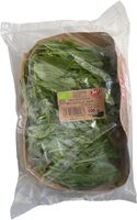 Rucola Salat