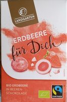Bio Erdberren in Beerenschokolade