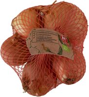 Zwiebel Gelb