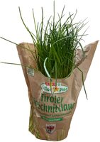 Tiroler Bio-Schnittlauch