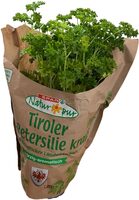 Bio-Petersilie
