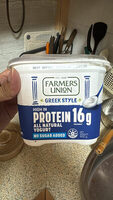 Greek Style Yogurt