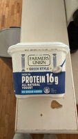 Greek Style Yogurt