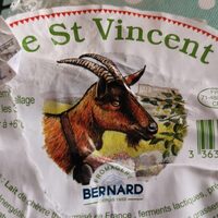 Le saint Vincent