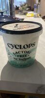 LACTOSE FREE NZ Yoghurt NATURAL