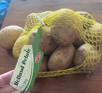 Holland Potato